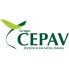 Cepav (1)